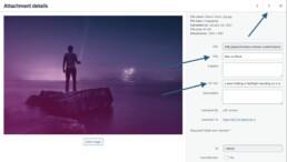 Add title and Alt Text, then click the