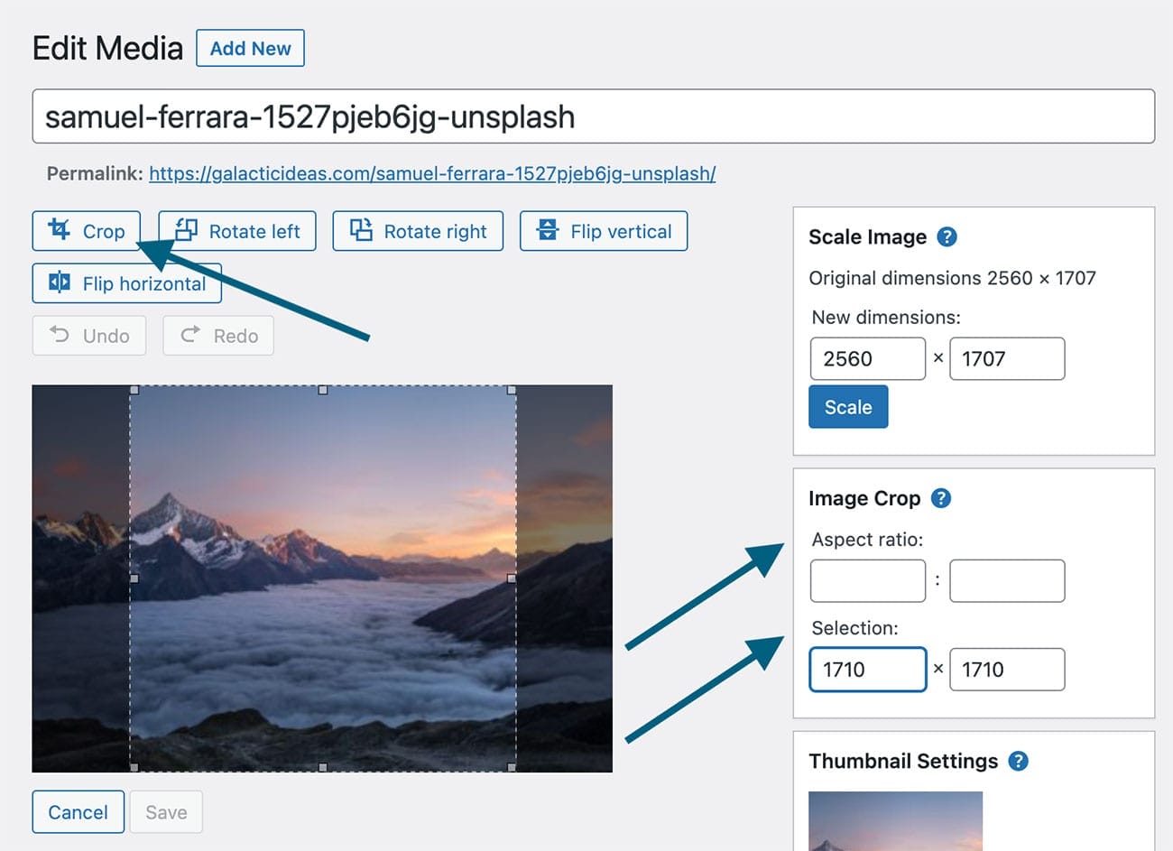 Scale Image Sizes to Boost Performance - Galactic Ideas