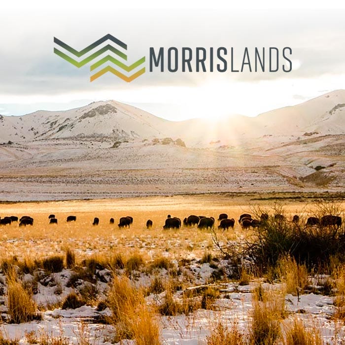 Morris Lands website cover