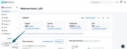 WP Engine dashboard displaying site management options, recent updates for plugins, themes, WordPress, PHP, a support PIN on the left sidebar, and tools for WP Engine Migration or private server migration.